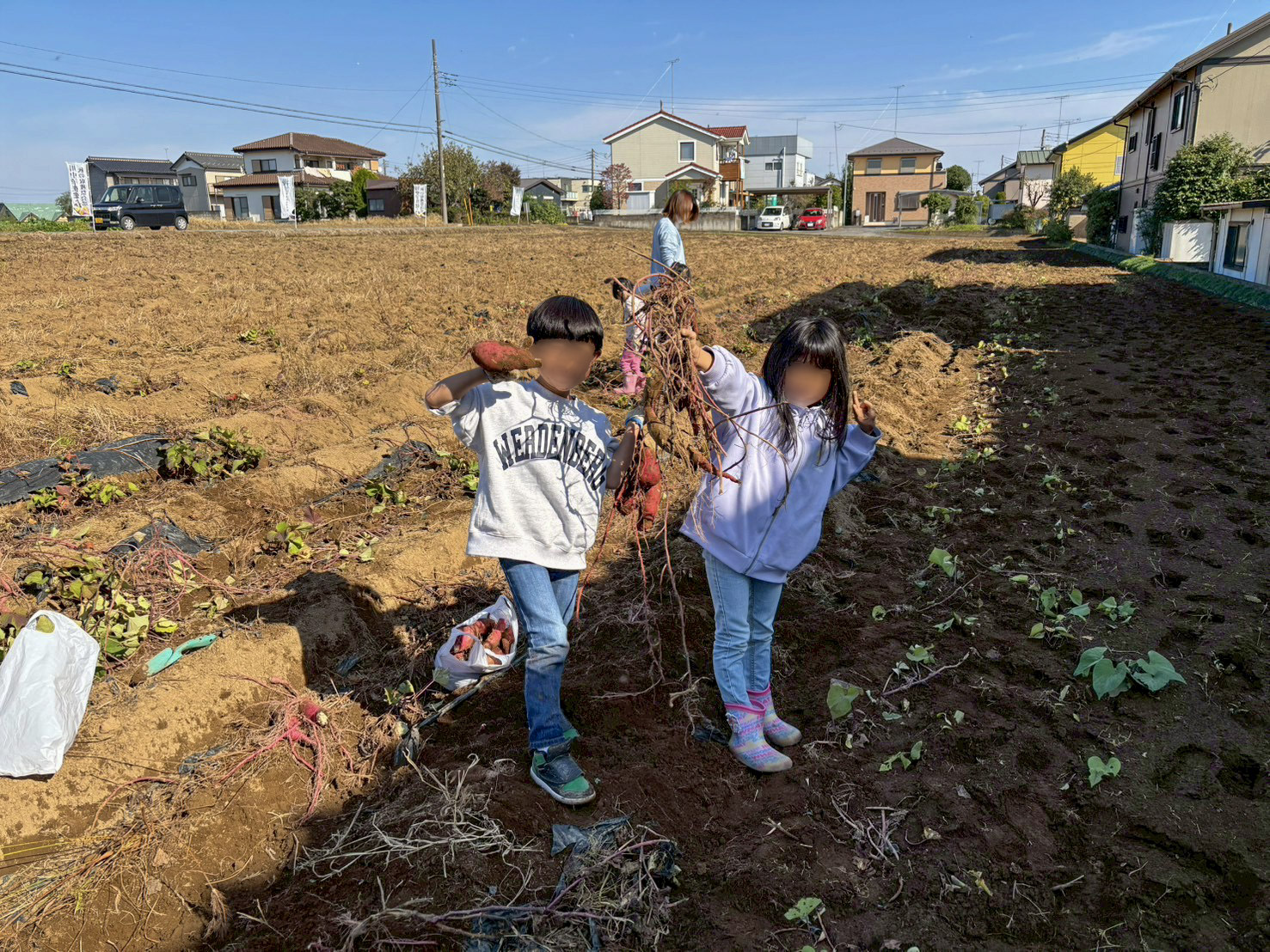 収穫した大きなサツマイモを手に持って喜ぶ二人の子供