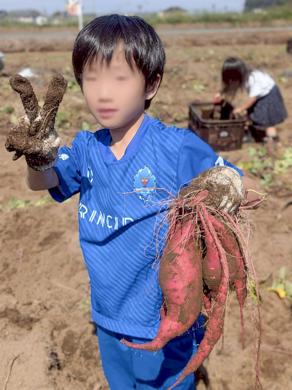 泥のついた軍手でサツマイモを誇らしげに掲げピースをする男の子
