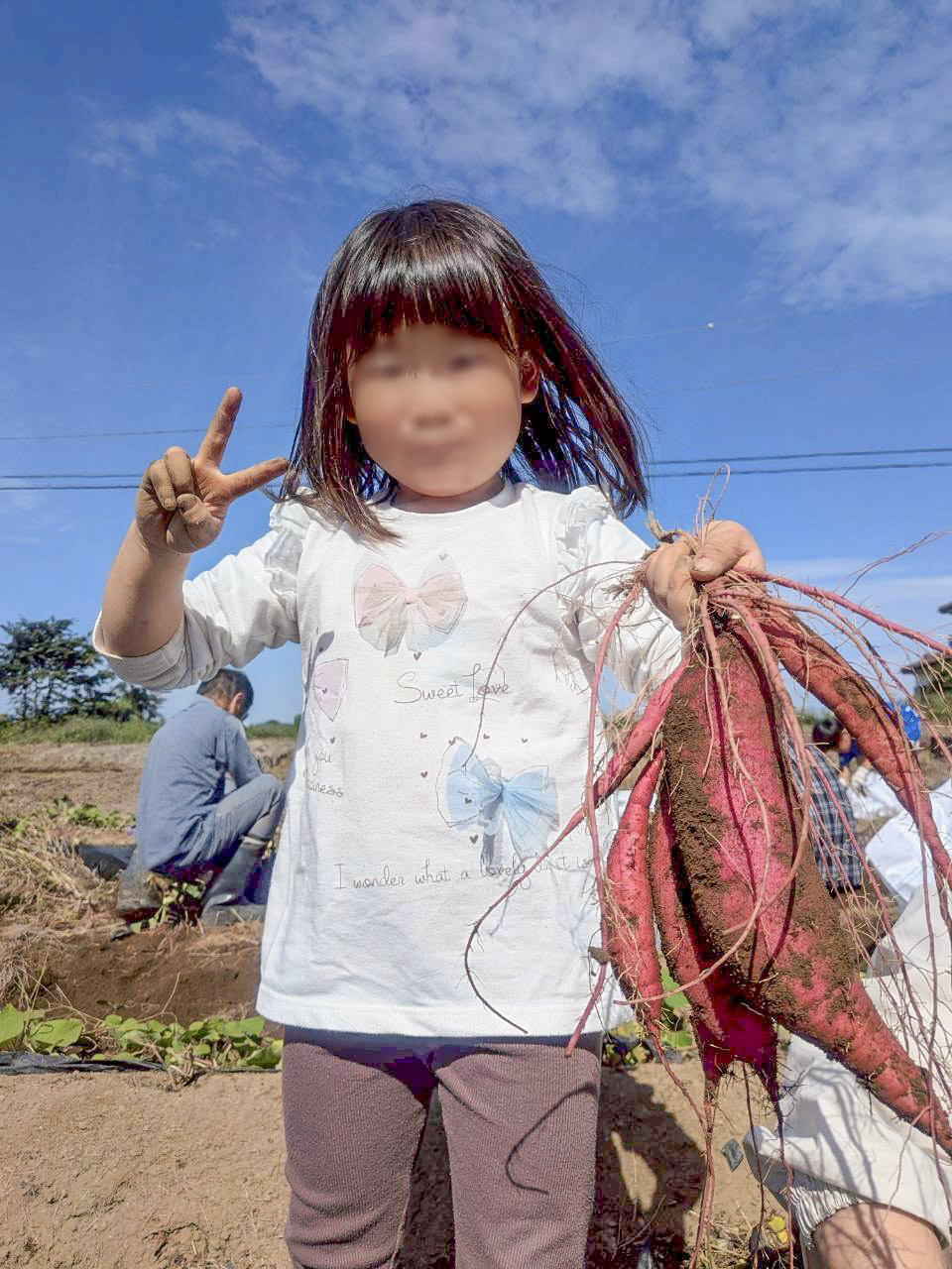 収穫した大きなサツマイモの束を手に持ちピースサインをする女の子