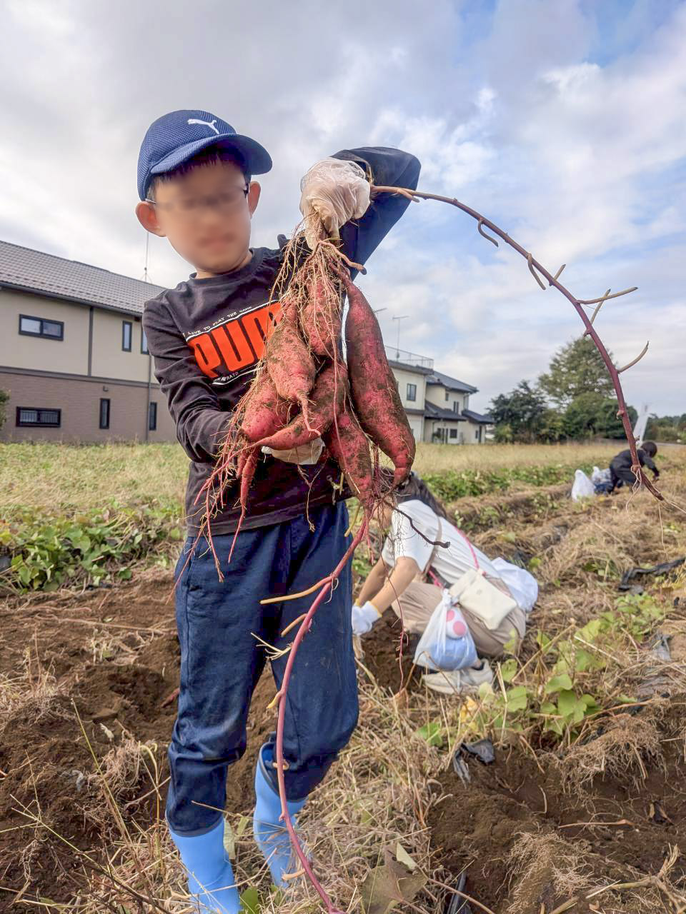 収穫した大きなさつまいもの束を高く掲げる男の子